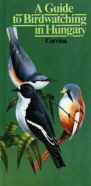 A Guide to Birdwatching in Hungary